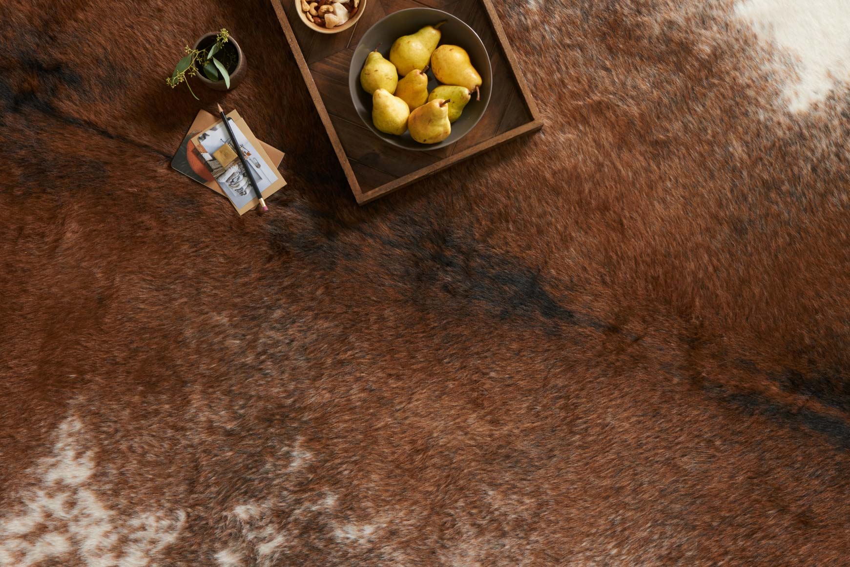 GC-14 COFFEE / IVORY - Image 4