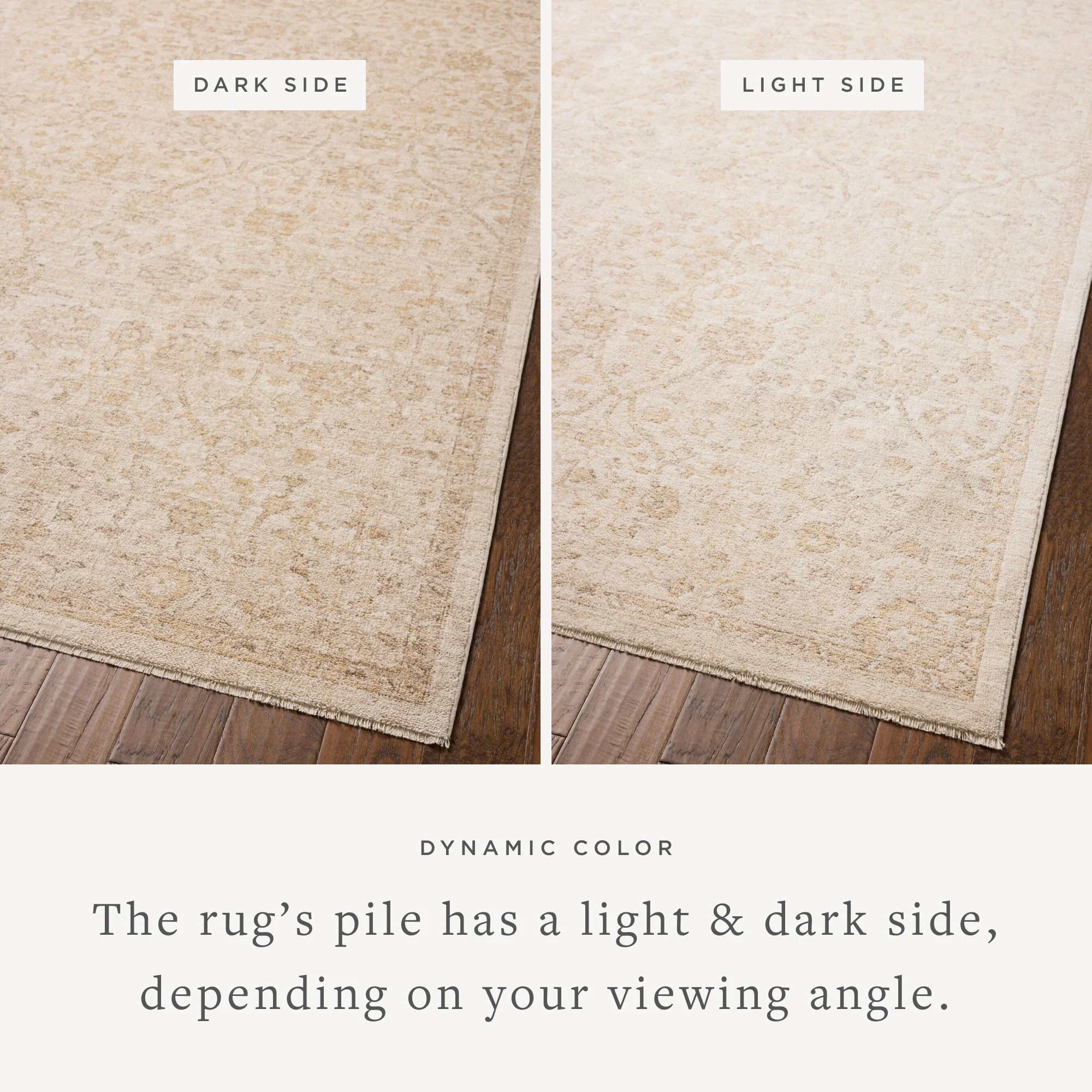 PLM-01 IVORY / SAND - Image 2